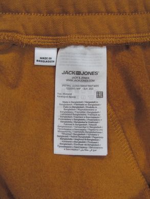 Спортивные штаны Jack & Jones теплые с начесом на флисе